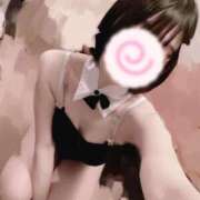 ヒメ日記 2026/07/23 13:33 投稿 あま 恋するバニー