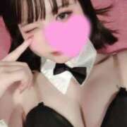 さくら えいっ❕️ 恋するバニー