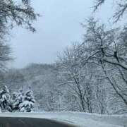 ヒメ日記 2026/02/24 19:29 投稿 花音ここ 美魔女エステ