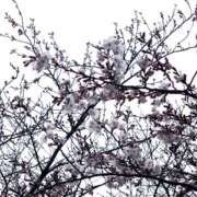 ヒメ日記 2026/03/21 07:55 投稿 花音ここ 美魔女エステ