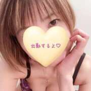 ヒメ日記 2026/03/24 07:17 投稿 静原(しずはら) 人妻出逢い会 百合の園 山の手本店