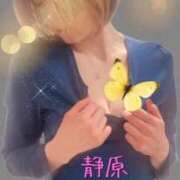 ヒメ日記 2026/04/06 07:27 投稿 静原(しずはら) 人妻出逢い会 百合の園 山の手本店