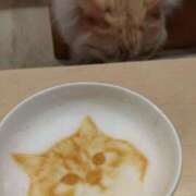 ヒメ日記 2026/04/21 22:54 投稿 杏 出会い系人妻ネットワーク 新宿〜池袋編