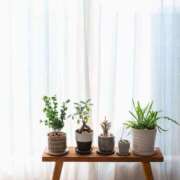 ヒメ日記 2026/03/06 13:30 投稿 柏木みあ★大人の甘さエロス！ PLAY