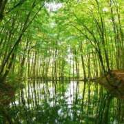 ヒメ日記 2026/03/11 11:00 投稿 柏木みあ★大人の甘さエロス！ PLAY