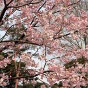 ヒメ日記 2026/03/23 17:37 投稿 柏木みあ★大人の甘さエロス！ PLAY