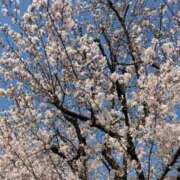 柏木みあ★大人の甘さエロス！ 1週間ぶり♡ PLAY