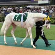 ヒメ日記 2026/02/04 15:33 投稿 赤井いちご★当店の隠れた名宝 PLAY