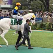 ヒメ日記 2026/02/09 10:01 投稿 赤井いちご★当店の隠れた名宝 PLAY