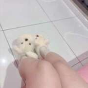 ヒメ日記 2026/02/20 21:48 投稿 赤井いちご★当店の隠れた名宝 PLAY