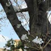 赤井いちご★当店の隠れた名宝 お礼🧸💌 PLAY