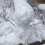 ヒメ日記 2026/02/08 13:22 投稿 白石みずき★清楚で可憐な美女 PLAY