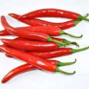 ヒメ日記 2026/03/05 12:16 投稿 白石みずき★清楚で可憐な美女 PLAY