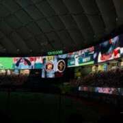 ヒメ日記 2026/03/28 17:00 投稿 白石みずき★清楚で可憐な美女 PLAY