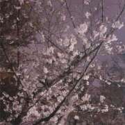 ヒメ日記 2026/04/02 19:09 投稿 白石みずき★清楚で可憐な美女 PLAY