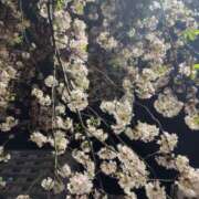 ヒメ日記 2026/04/07 07:03 投稿 白石みずき★清楚で可憐な美女 PLAY