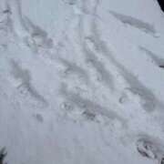 ココ★癒し系、超可愛いレア嬢 3月の出勤日🩷ココ PLAY