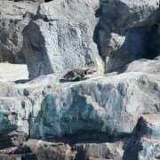 ヒメ日記 2026/02/24 14:33 投稿 橘あむ★中西ア〇ノ似完全素人 PLAY