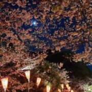 ヒメ日記 2026/04/03 07:02 投稿 山口あやか★異次元の官能ワールド PLAY