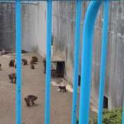 ヒメ日記 2026/04/05 18:46 投稿 山口あやか★異次元の官能ワールド PLAY