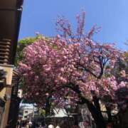 ヒメ日記 2026/03/09 16:42 投稿 五十嵐 人妻風俗チャンネル