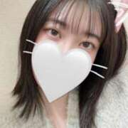 ヒメ日記 2026/02/03 20:41 投稿 すい 横浜シンデレラ（シンデレラグループ）