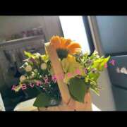 ヒメ日記 2026/03/07 18:02 投稿 みつき スピード梅田店