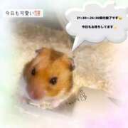 ヒメ日記 2026/06/06 17:12 投稿 みつき スピード梅田店