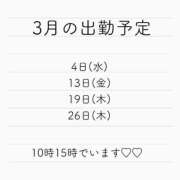 もこ 出勤予定✨ アラカルト