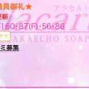 ヒメ日記 2026/04/17 12:08 投稿 もこ アラカルト