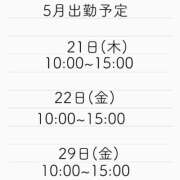 ヒメ日記 2026/05/19 17:16 投稿 もこ アラカルト