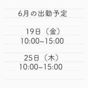 ヒメ日記 2026/05/26 17:02 投稿 もこ アラカルト