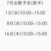 ヒメ日記 2026/06/26 17:43 投稿 もこ アラカルト