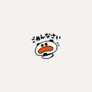 ヒメ日記 2026/06/29 12:01 投稿 もこ アラカルト
