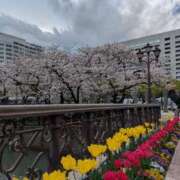 ヒメ日記 2026/04/17 21:50 投稿 まどか 厚木人妻城