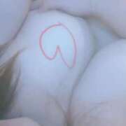 ヒメ日記 2026/02/15 00:32 投稿 みさ 横浜・関内サンキュー