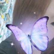 ヒメ日記 2026/03/10 14:02 投稿 みさ 横浜・関内サンキュー