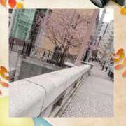 ヒメ日記 2026/03/20 19:32 投稿 みさ 横浜・関内サンキュー