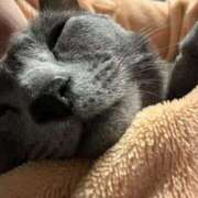 ヒメ日記 2026/02/19 07:25 投稿 あや SOAPLAND LOVE FACTORY