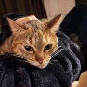 ヒメ日記 2026/02/20 08:30 投稿 あや SOAPLAND LOVE FACTORY