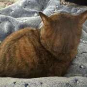 ヒメ日記 2026/02/21 06:42 投稿 あや SOAPLAND LOVE FACTORY