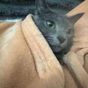 ヒメ日記 2026/02/23 22:12 投稿 あや SOAPLAND LOVE FACTORY