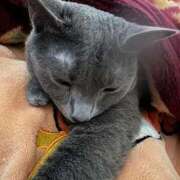 ヒメ日記 2026/02/25 07:22 投稿 あや SOAPLAND LOVE FACTORY