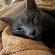 あや 猫の看病 SOAPLAND LOVE FACTORY