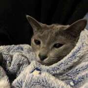 ヒメ日記 2026/03/04 06:52 投稿 あや SOAPLAND LOVE FACTORY