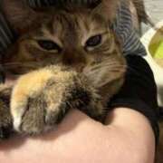 ヒメ日記 2026/04/08 12:45 投稿 あや SOAPLAND LOVE FACTORY