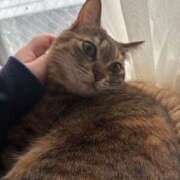 ヒメ日記 2026/04/12 19:38 投稿 あや SOAPLAND LOVE FACTORY