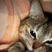 ヒメ日記 2026/04/13 12:52 投稿 あや SOAPLAND LOVE FACTORY