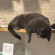 ヒメ日記 2026/04/14 21:52 投稿 あや SOAPLAND LOVE FACTORY