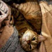 あや お休み🥲 SOAPLAND LOVE FACTORY